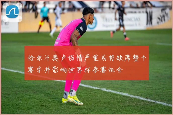 恰尔汗奥卢伤情严重或将缺席整个赛季并影响世界杯参赛机会